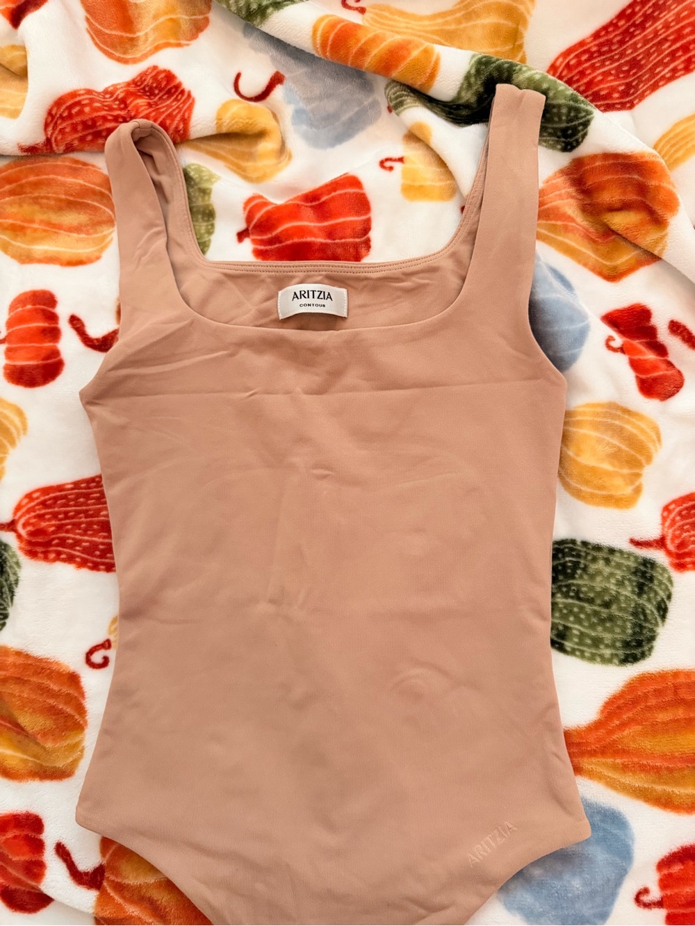 Aritzia Stretch Scoop Neck Bodysuit — Blush Beige